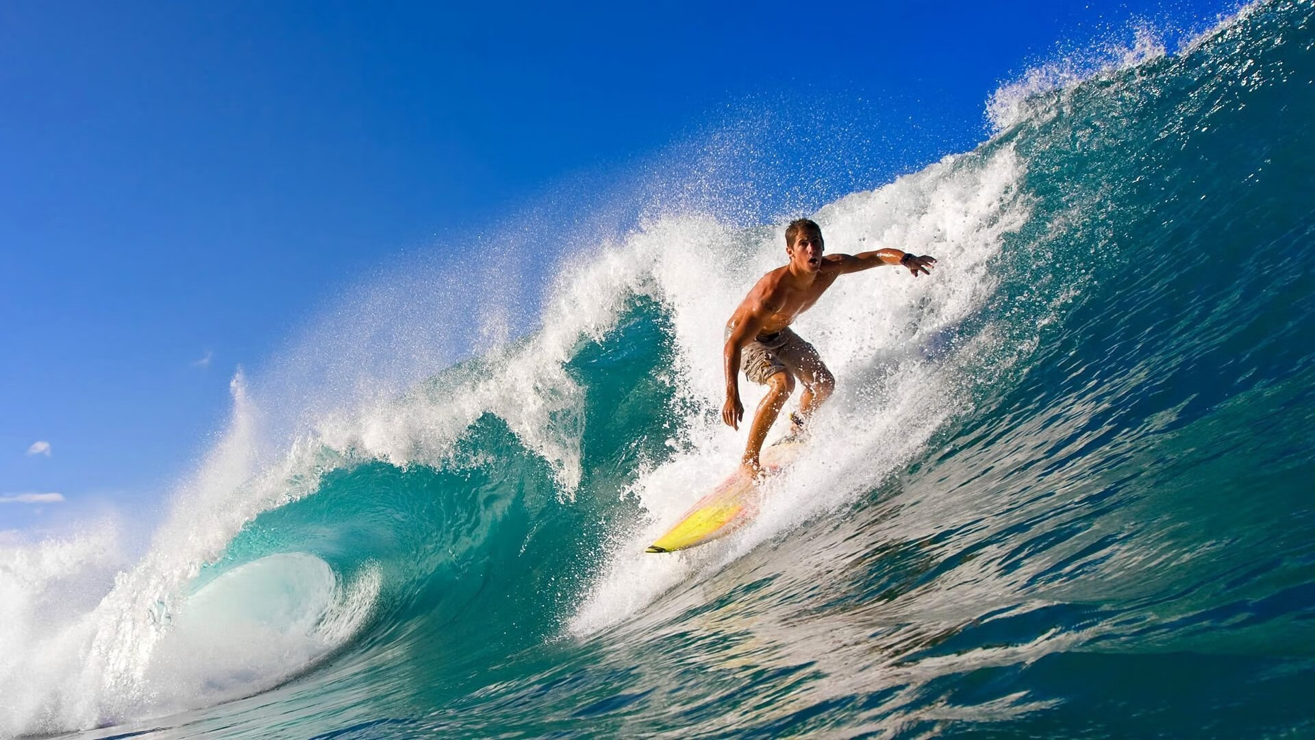 CBA季后赛对阵形势基本确定